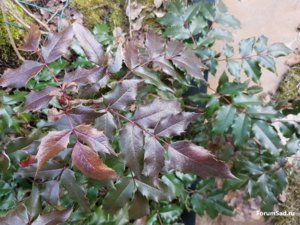 20170323_174138.jpg