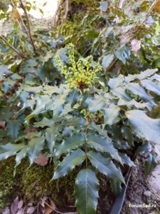 20170517_072927.jpg