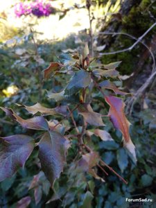 20170517_072954.jpg