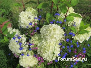 IMG_8695.JPG
