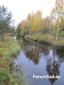 IMG_9285.JPG