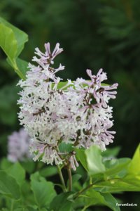 IMG_6724.JPG