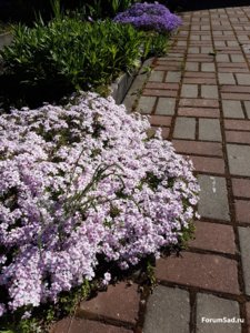 20170522_090959.jpg