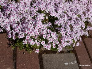 20170522_091841.jpg