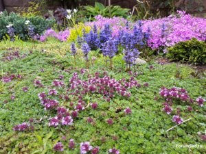 20170608_185543.jpg