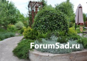 DSC_0991.JPG