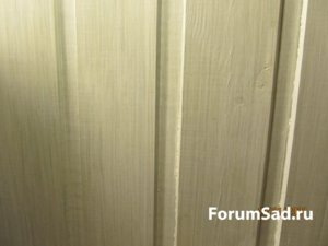 IMG_9881.JPG