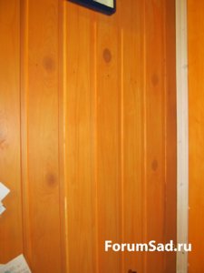 IMG_9884.JPG