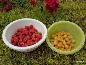 20170725_123906.jpg