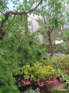 IMG_20170520_180331.jpg