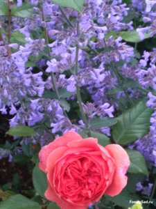 IMG_20170704_205228.jpg