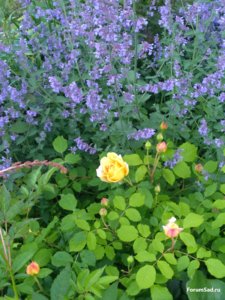 IMG_20170704_205424.jpg