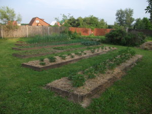 DSCF5035.JPG