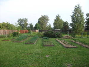 DSCF5036.JPG
