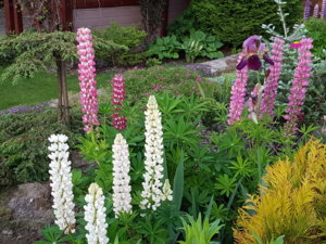20170623_211715.jpg