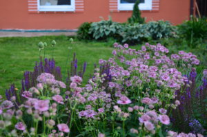 DSC_0487.JPG