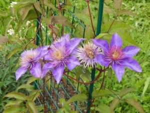 DSCN3566.JPG
