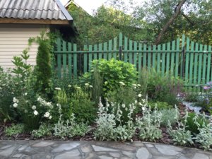 IMG_1895.JPG