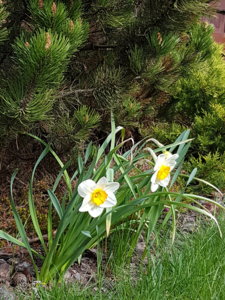 20170508_160525.jpg