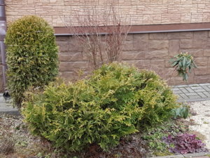 20170317_150258.jpg