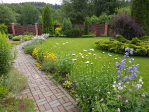 20170709_085955.jpg
