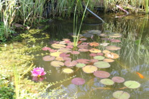 IMG_3947.JPG