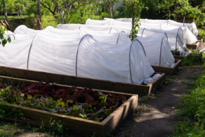img-p-1040072_resize.jpg