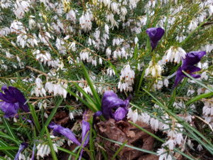 20170409_075028.jpg