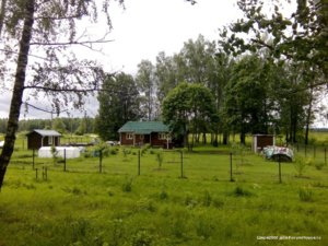 IMG_20160612_115234.jpg