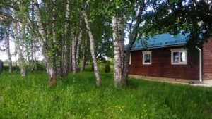 P_20170618_131357 — копия.jpg