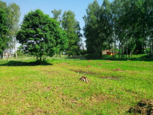 IMG_20130602_104436.jpg