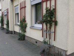 IMG_3805.JPG