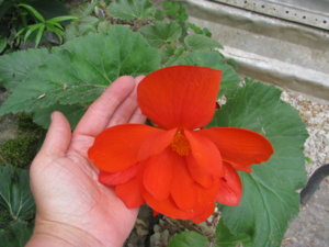 IMG_4241.JPG