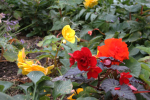 IMG_5961.JPG