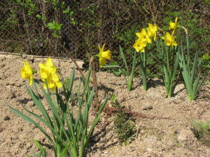 IMG_9584.JPG