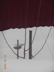 зима 003.jpg