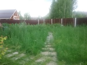 20170703_192741 (002).jpg