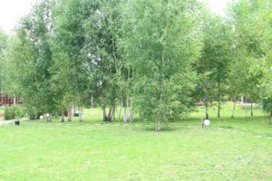 IMG_2724__.jpg