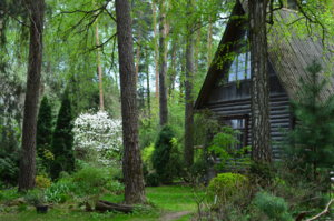 DSC_0176.JPG