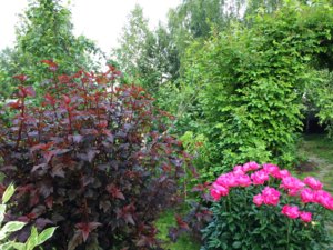 IMG_0073.JPG
