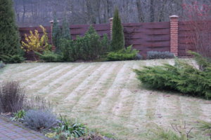 IMG_4296.JPG