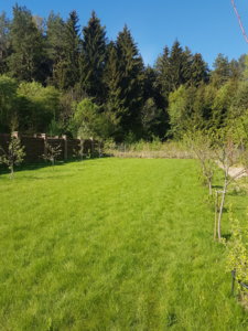 20170520_085848.jpg