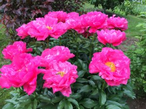 IMG_0122.JPG