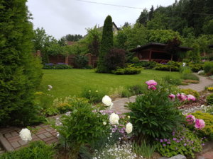 20170624_111139.jpg