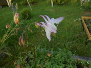 DSCN1244.jpg