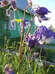DSCN0383.JPG