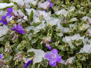 20170501_082649.jpg