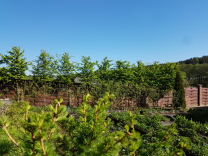 20170525_090254.jpg