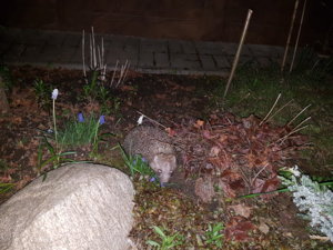 20170508_233750.jpg