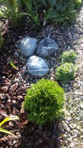 20170806_173848.jpg